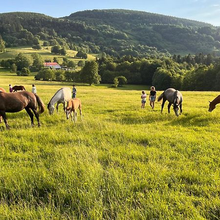 Rancho Panderoza Bed & Breakfast Duszniki Zdroj Bagian luar foto