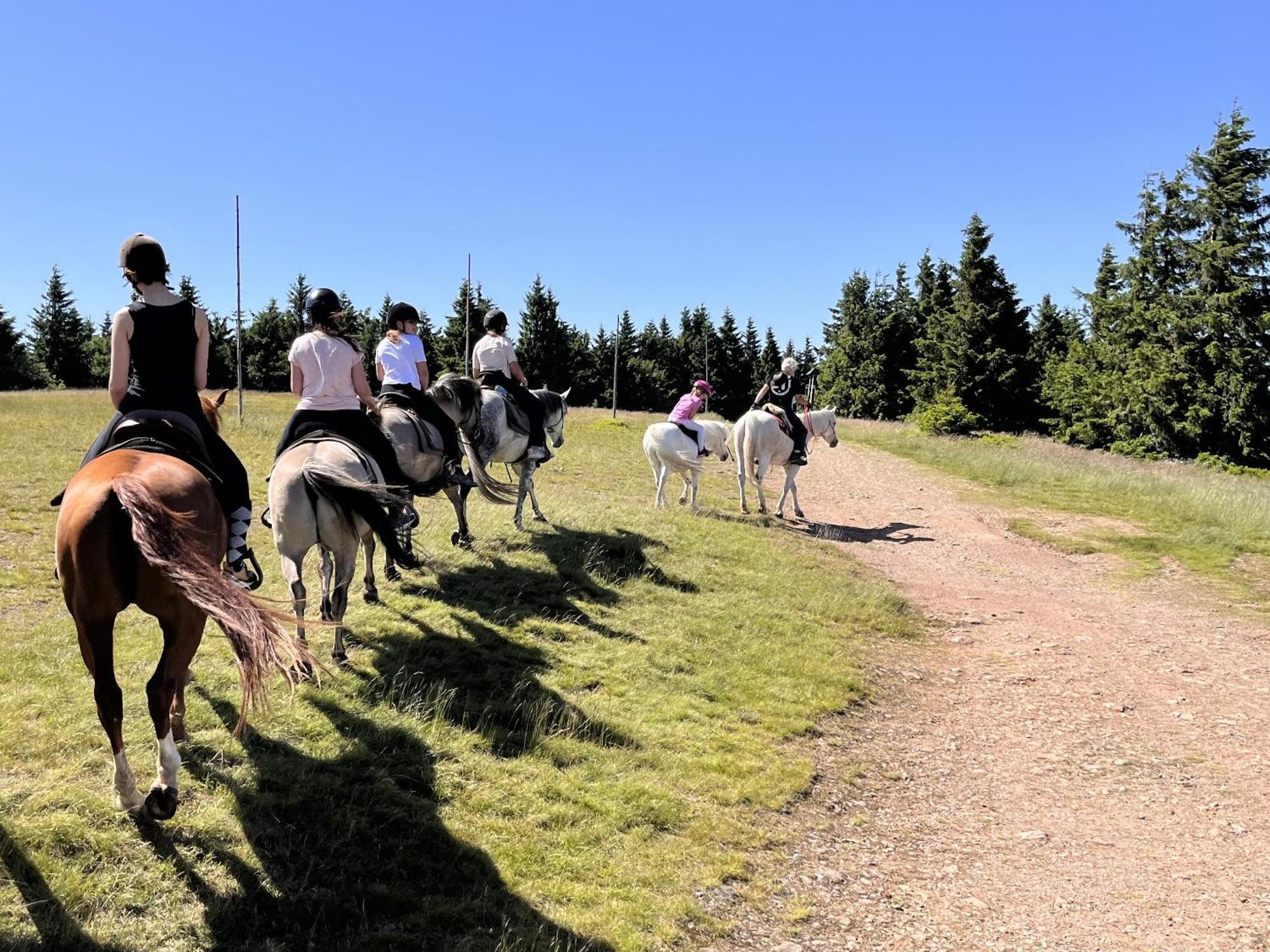 Rancho Panderoza Bed & Breakfast Duszniki Zdroj Bagian luar foto