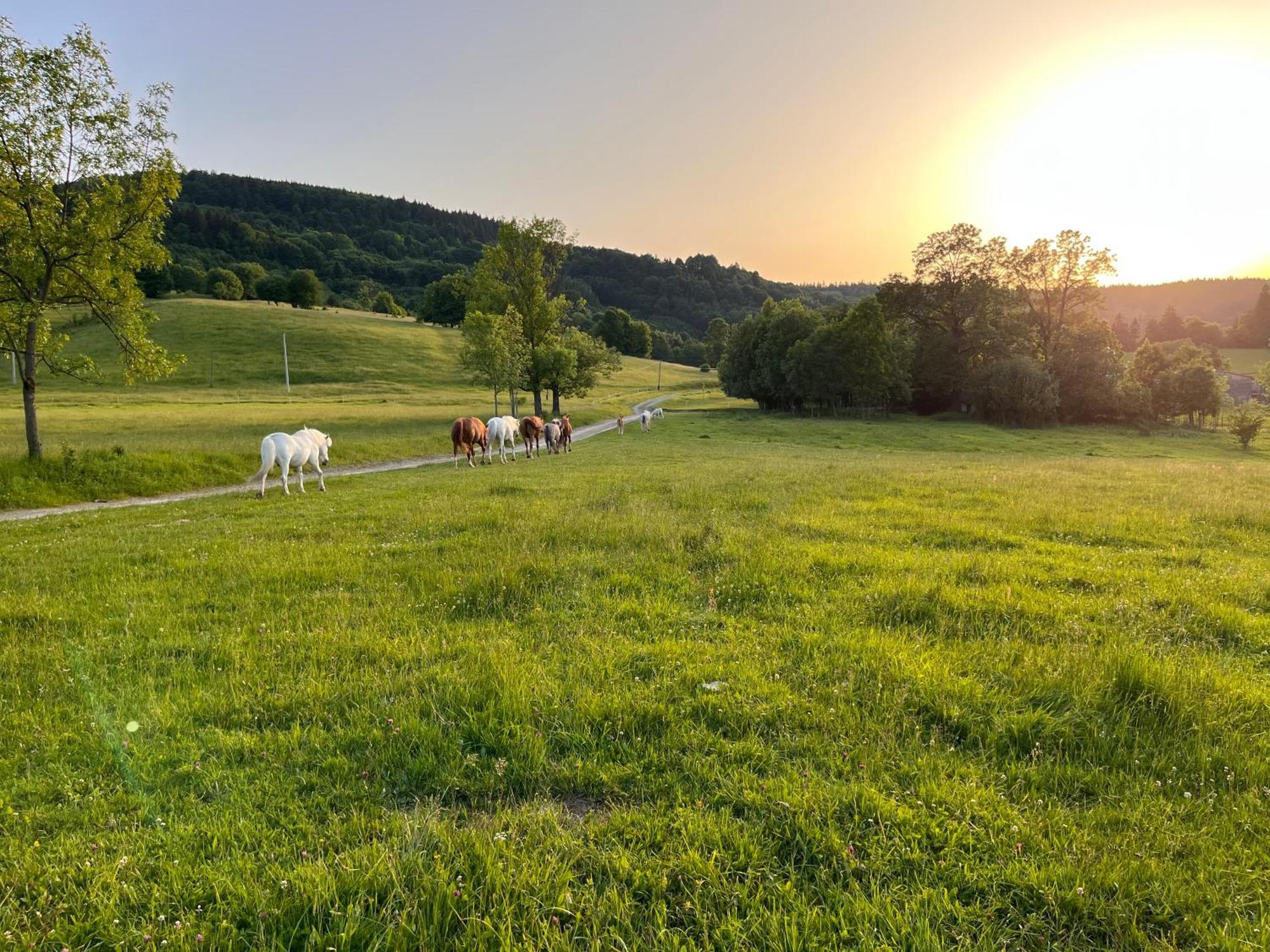 Rancho Panderoza Bed & Breakfast Duszniki Zdroj Bagian luar foto